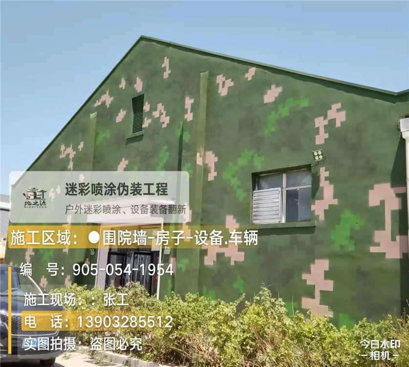 常州外墙数码迷彩漆施工报价清单（100㎡标准墙面测算）